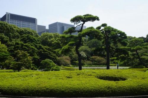 ai- Giardini, Palazzo Imperiale- Tokyo 